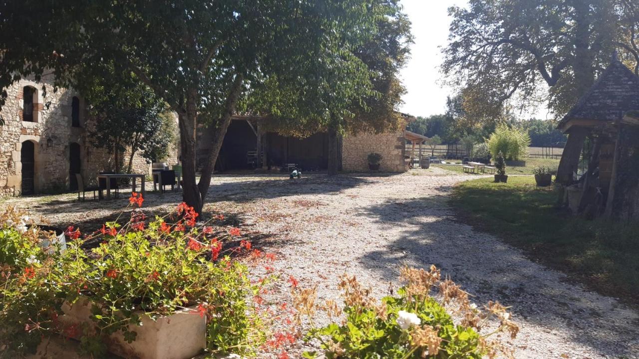 Domaine L'Esprit D'Antan Bed and Breakfast Villeneuve-sur-Lot Exteriör bild
